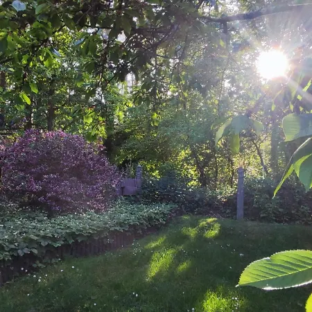 Apartmán Waldidylle *