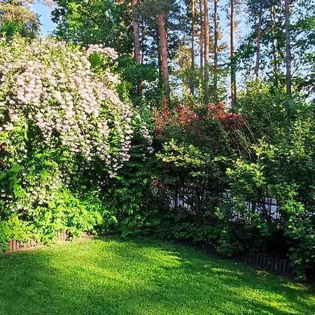 Waldidylle Küsten